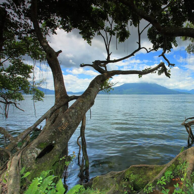 Pasti ada, yang ketika sedang galau-galaunya lalu duduk di pinggir danau, seketi...