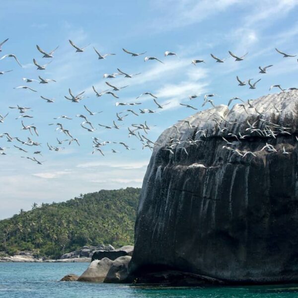 Pernah kebayang serunya berenang di laut biru jernih dikelilingi penyu? Nah, Kep...