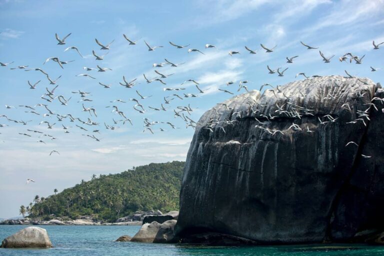 Pernah kebayang serunya berenang di laut biru jernih dikelilingi penyu? Nah, Kep...