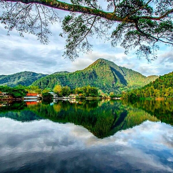 Pernah mendaki Gunung Lawu? Ketemu nggak dengan telaga cantik ini?
.
Telaga ini ...
