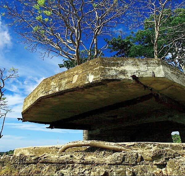 Pulau Weh di Aceh, tak hanya terkenal dengan keindahan alamnya yang eksotis. Di ...