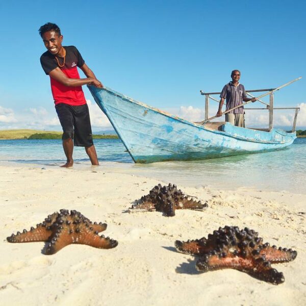 Rangkaian biota laut yang dapat ditemui di Pulau Pasir Putih, Flores, NTT.

#Pes...