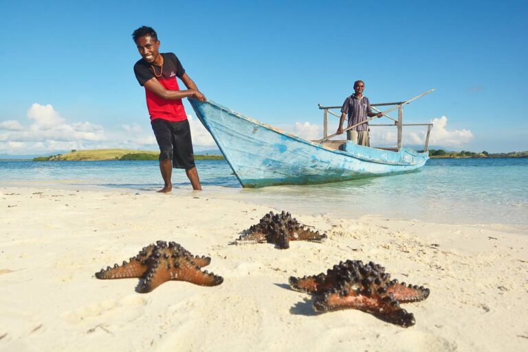 Rangkaian biota laut yang dapat ditemui di Pulau Pasir Putih, Flores, NTT.

#Pes...