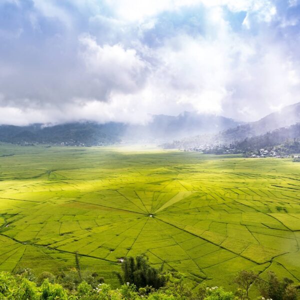 Sawah berbentuk jaring laba-laba, menakjubkan bukan?!
. 
Saat menjejakkan kaki k...