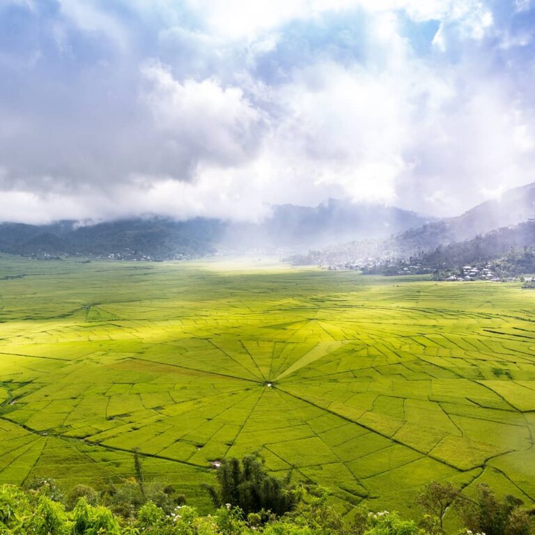 Sawah berbentuk jaring laba-laba, menakjubkan bukan?!
. 
Saat menjejakkan kaki k...
