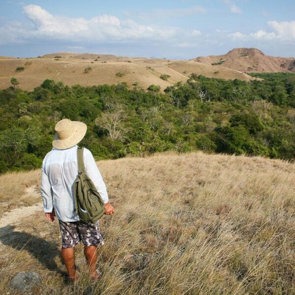 Selain menjelajahi Taman Nasional Komodo, di daerah Nusa Tenggara Timur kita dap...
