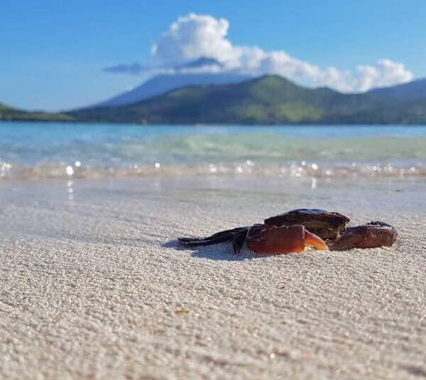 Selamat pagi Sahabat wisata, kemana kah kalian akan berlibur minggu ini? Happy W...