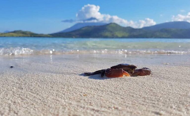 Selamat pagi Sahabat wisata, kemana kah kalian akan berlibur minggu ini? Happy W...
