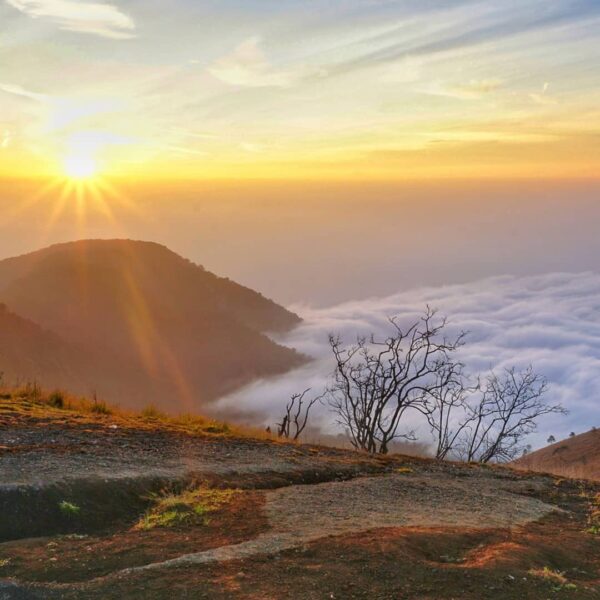 Selamat pagi dan semangat Senin!
.
Matahari terbit beralaskan gumpalan awan puti...