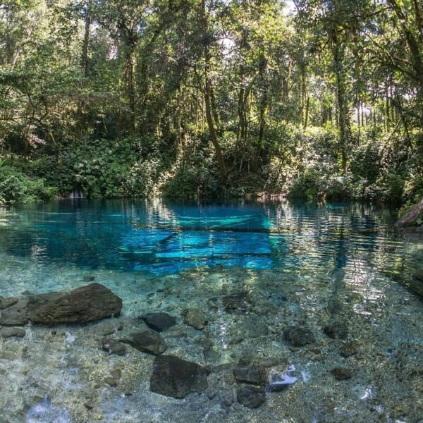 Siapa sangka di Jambi ada danau yang airnya sebening kaca? Keunikannya inilah ya...