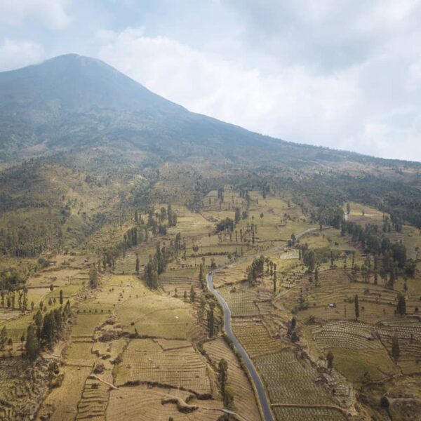 Sobat Pesona pasti sudah tak asing dengan Gunung Sumbing dan Sindoro. Siapa sang...