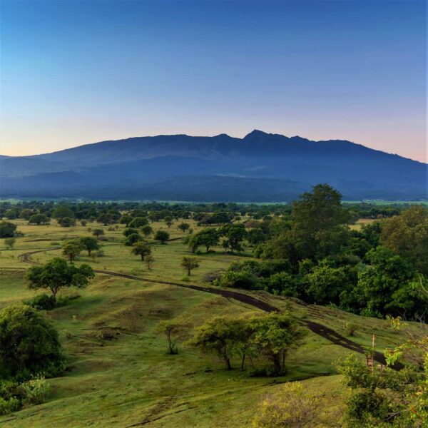 Sudah merasakan keseruan Festival Pesona Tambora 2019? Kalau belum, masih ada wa...