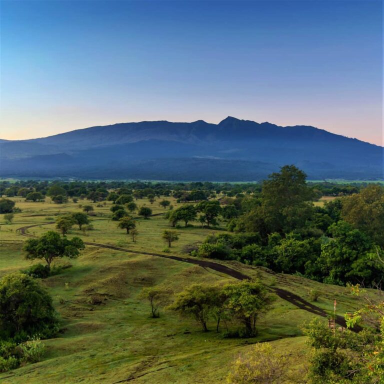 Sudah merasakan keseruan Festival Pesona Tambora 2019? Kalau belum, masih ada wa...