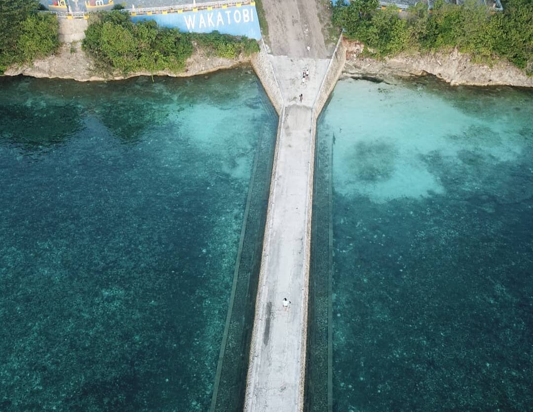 Sudah punya rencana liburan akhir tahun kemana Sobat Pesona?
.
Wakatobi bisa jad...