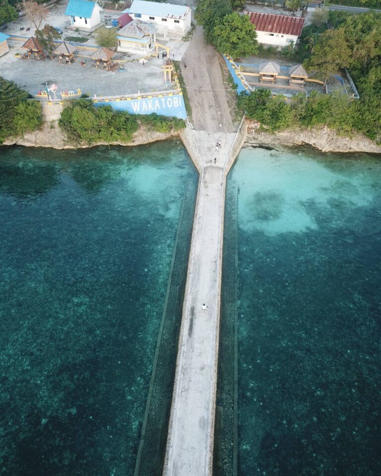 Sudah punya rencana liburan akhir tahun kemana Sobat Pesona?
.
Wakatobi bisa jad...