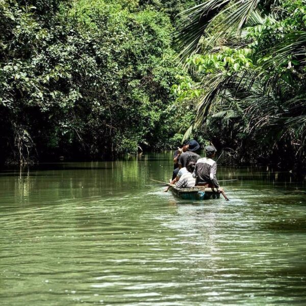 Sungai Cigenter
.
Mau ke Amazon?
Gak usah jauh-jauh, kuy ke Banten, ke Cigenter
...