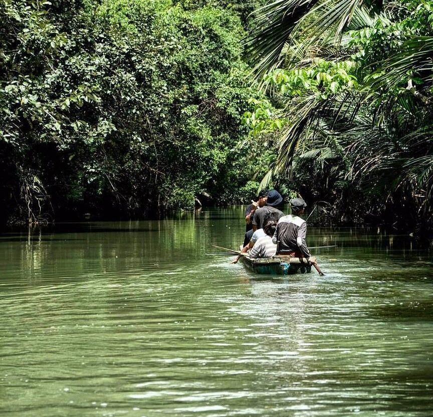Sungai Cigenter
.
Mau ke Amazon?
Gak usah jauh-jauh, kuy ke Banten, ke Cigenter
...