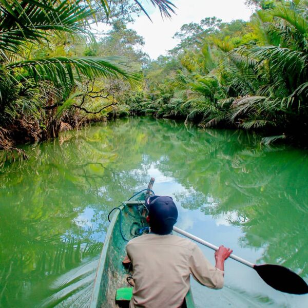 Sungai Cigenter di Ujung Kulon ini kerap disebut Amazonnya Indonesia. Sungai can...