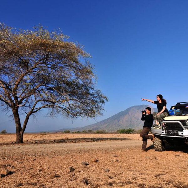 Taman Nasional Baluran, Daerah yang terletak di ujung timur provinsi Jawa Timur ...