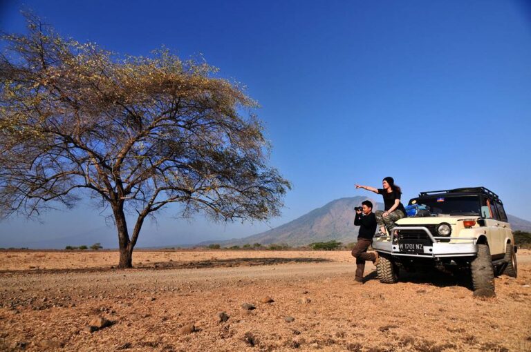 Taman Nasional Baluran, Daerah yang terletak di ujung timur provinsi Jawa Timur ...