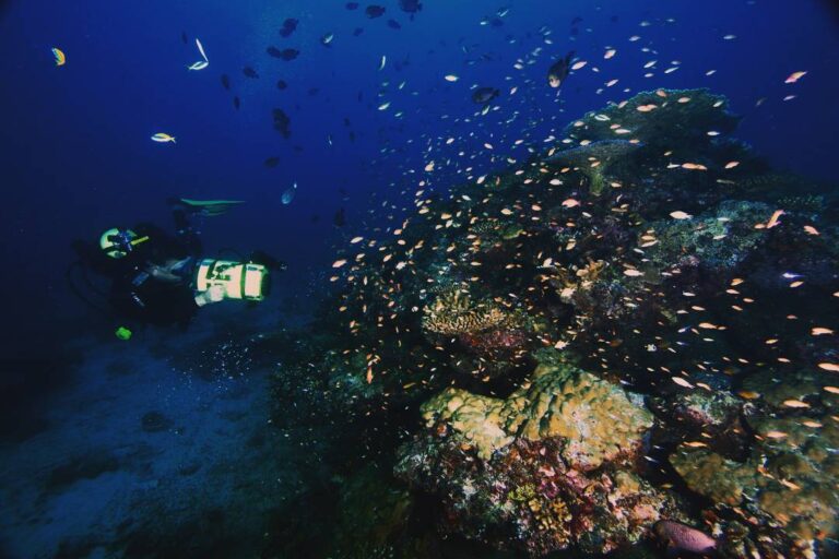 Terdapat pesona yang luar biasa pada kedalaman laut di sekitar Pulau Weh. (Sea G...