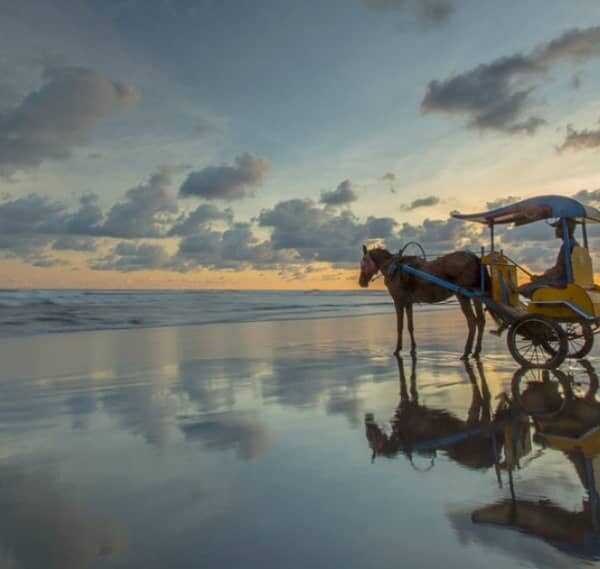 Tertarik untuk melewatkan senja yang romantis di Pantai Parangtritis?
.
Terkenal...
