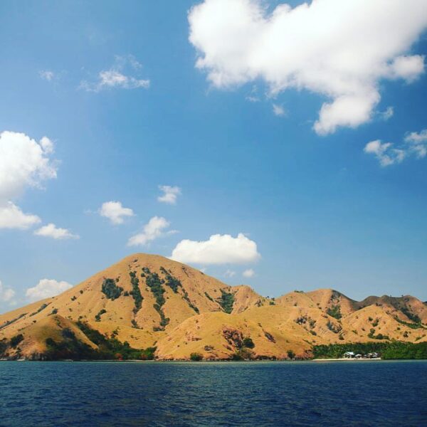 Tidak hanya Komodo, di Labuan Bajo kalian juga bisa singgah di banyak pulau yang...