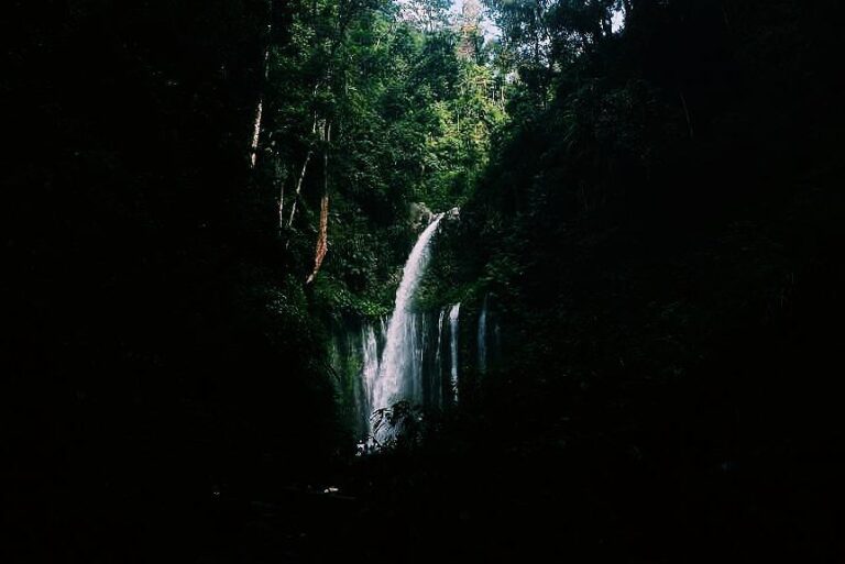 Tiu kelep merupakan salah satu dari puluhan air terjun yang ada di Lombok. Air t...
