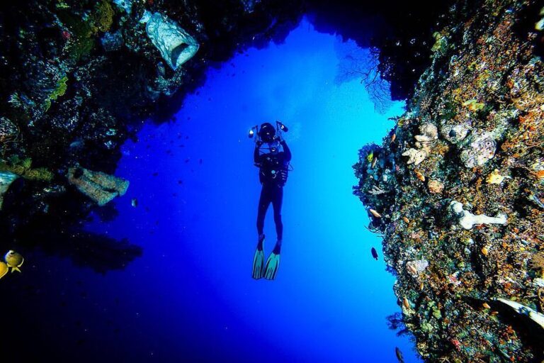 Wakatobi menawarkan tak kurang dari 29 titik selam yang selalu mengundang para p...