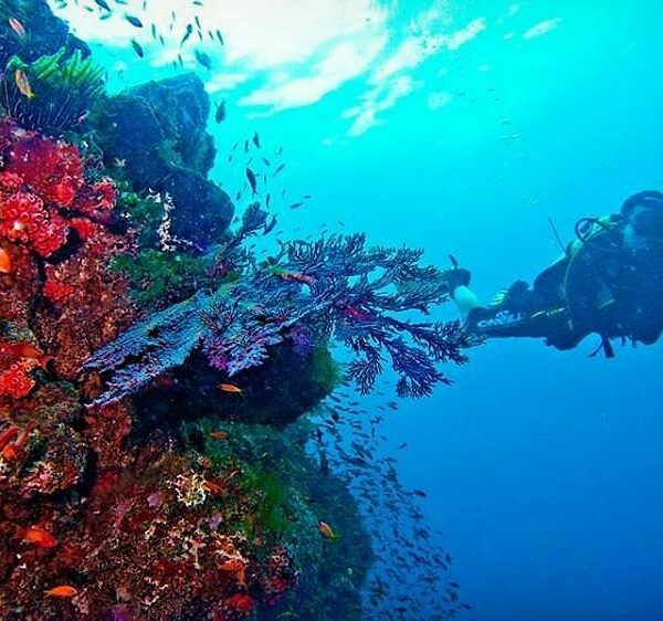 from  - | Indonesia Promosikan Wisata Bahari dan Sail Sabang di Selandia Baru

...