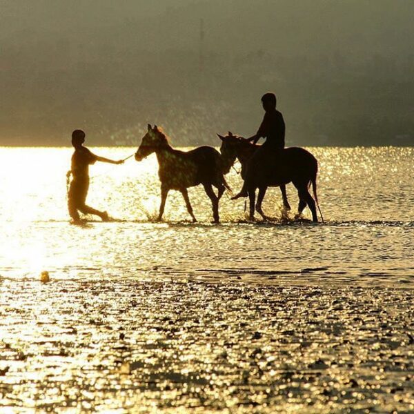#explorebima Photo today by  taken at Around Amahami Beach

#exploreindonesia
#d...