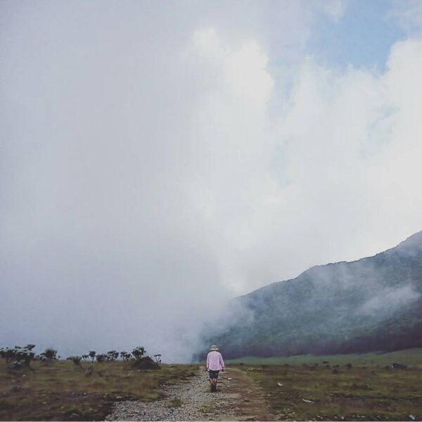 #exploresukabumi photo by  taken at Taman Nasional Gunung Gede Pangrango...