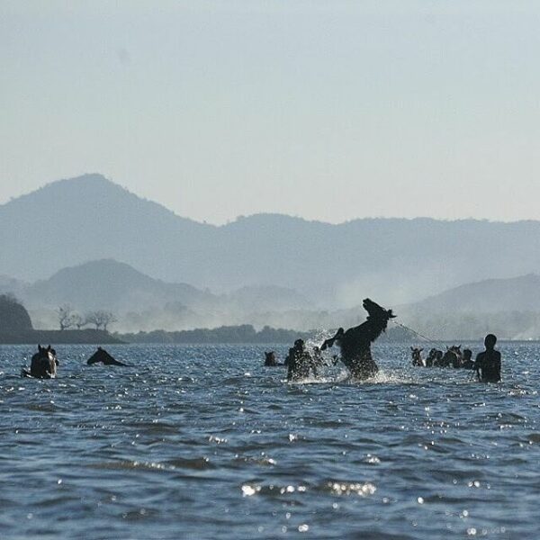 #explorebima Photo today by  taken at Around Kalaki Beach

#indonesiakaya 
#disc...