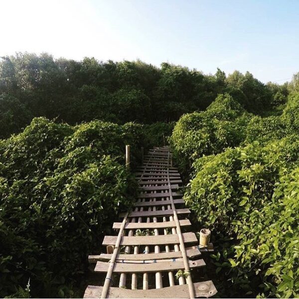 #explorejogja photo today by  taken at Hutan mangrove, Kulon Progo....