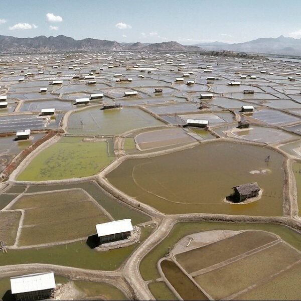 #explorebima Photo today by  taken at Salt Farm

#exploreindonesia 
#discoverind...