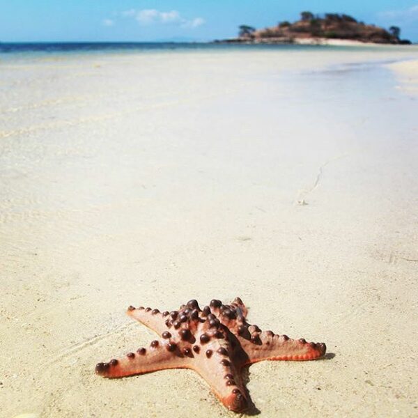 #explorebima Photo today by  taken at Lariti Beach Sape

#exploreindonesia 
#dis...