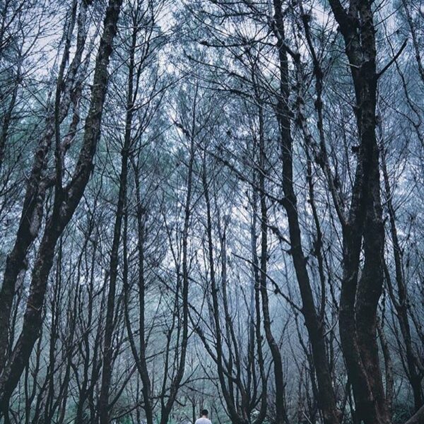 #explorejogja photo today by  taken at Pantai Goa Cemara, Bantul....