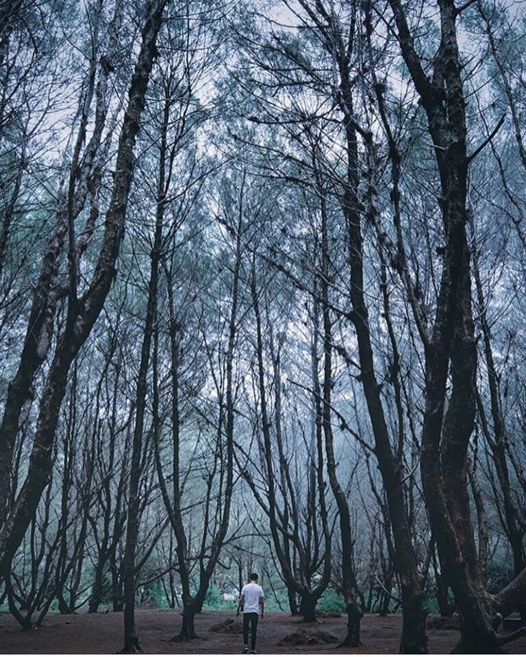 #explorejogja photo today by  taken at Pantai Goa Cemara, Bantul....