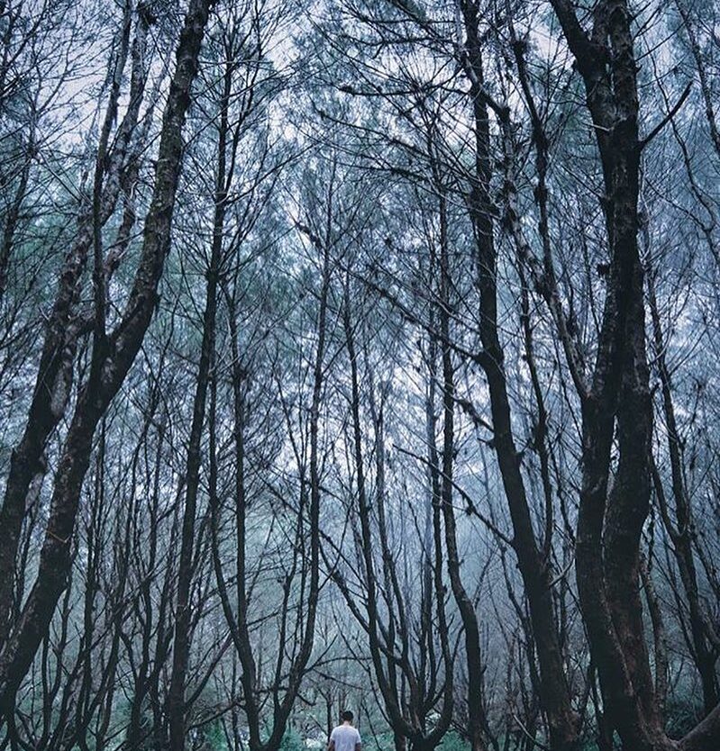 #explorejogja photo today by  taken at Pantai Goa Cemara, Bantul....