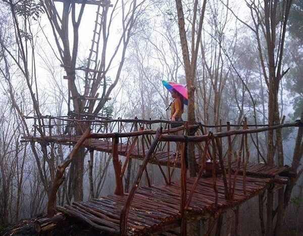 #explorejogja photo today by  taken at Hutan Pinus Dlingo, Bantul....