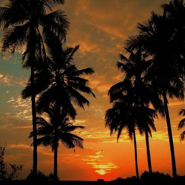 #exploresukabumi golden hour at Tegal Buleud lensed by ...