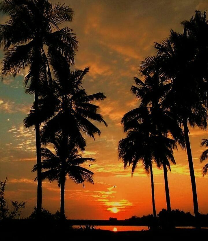 #exploresukabumi golden hour at Tegal Buleud lensed by ...