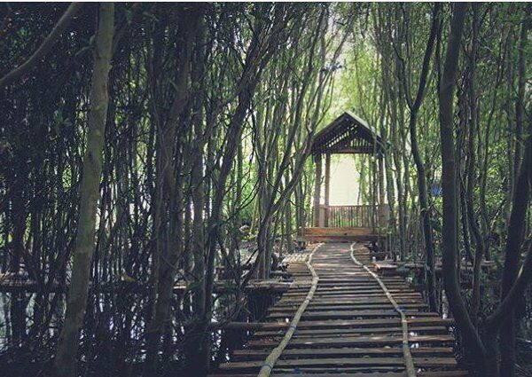 #explorejogja photo today by  taken at Hutang Mangrove, Kulon Progo....