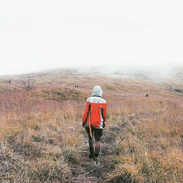 #explorebima Photo taken by   at Around Mt Tambora

#travelingindonesia...