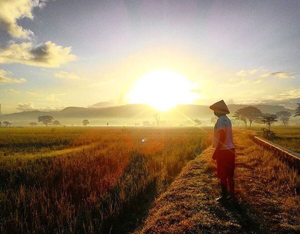 #explorejogja photo today by  taken around Imogiri, Bantul....