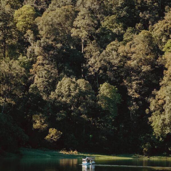 Always believe that nature is the solace of all troubles. Captured by 
#exploreb...