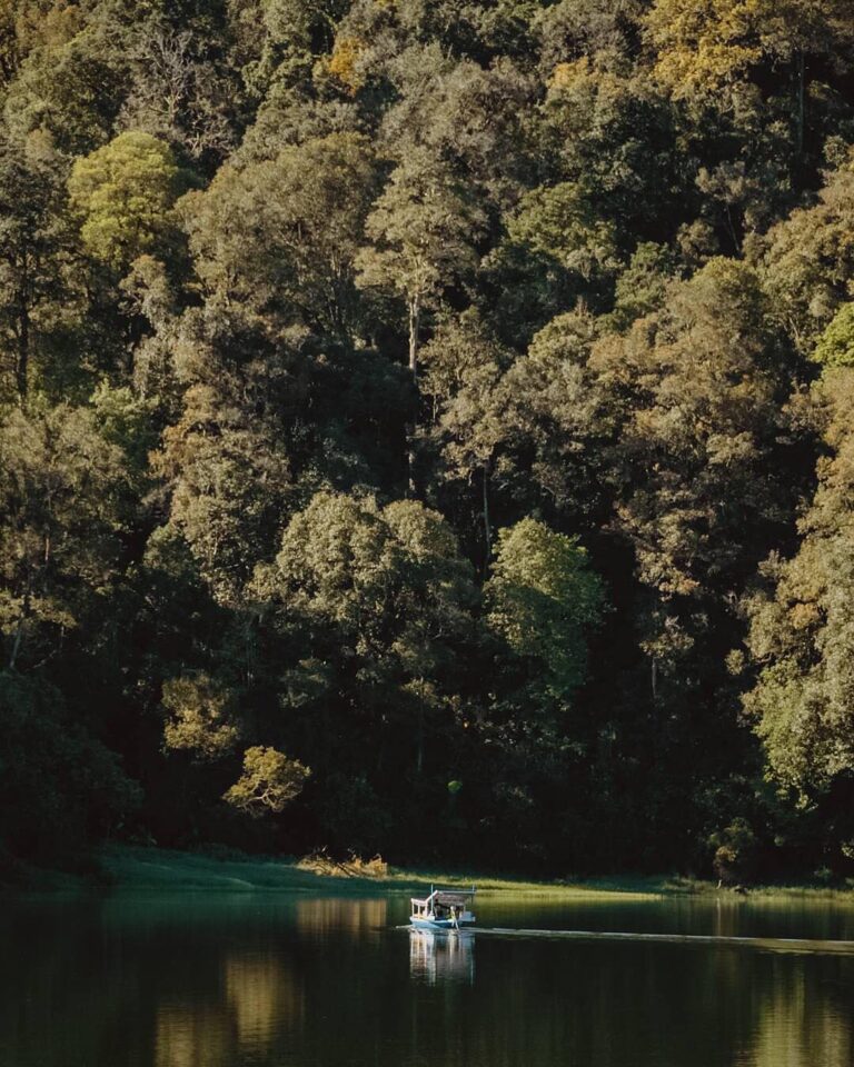 Always believe that nature is the solace of all troubles. Captured by 
#exploreb...