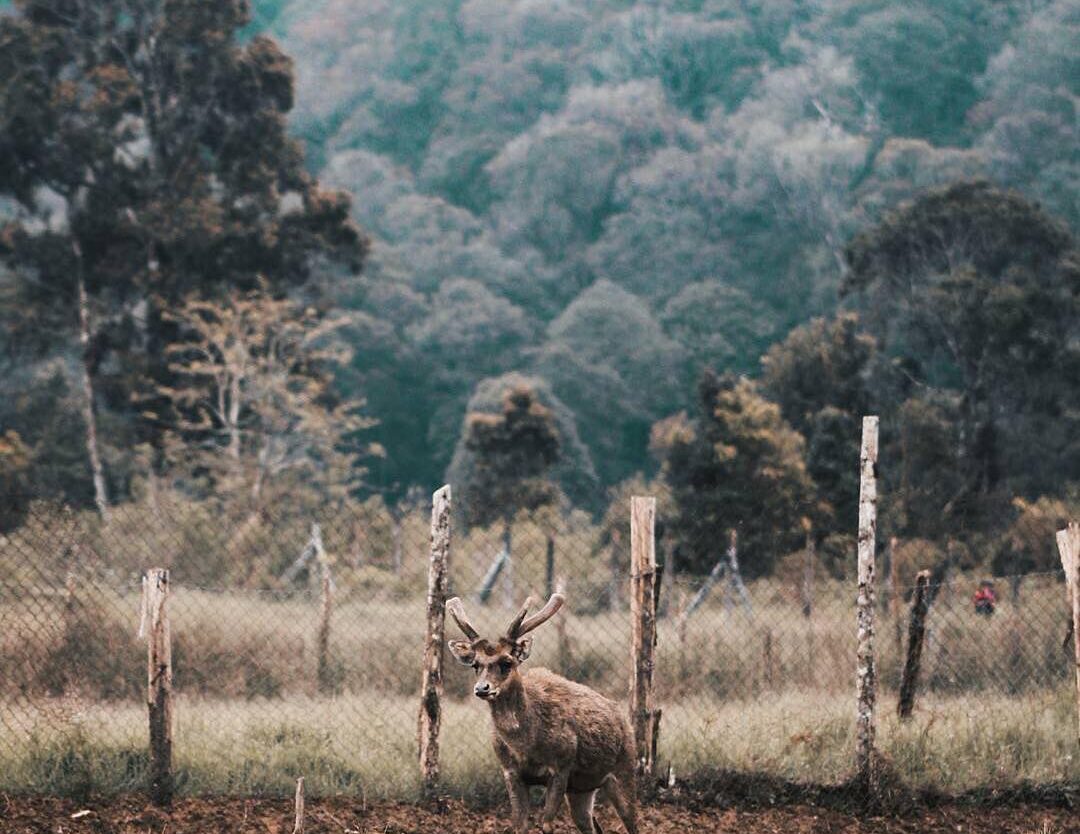 Going to Ranca Upas is a great idea to spend your weekend in nature. Captured by...