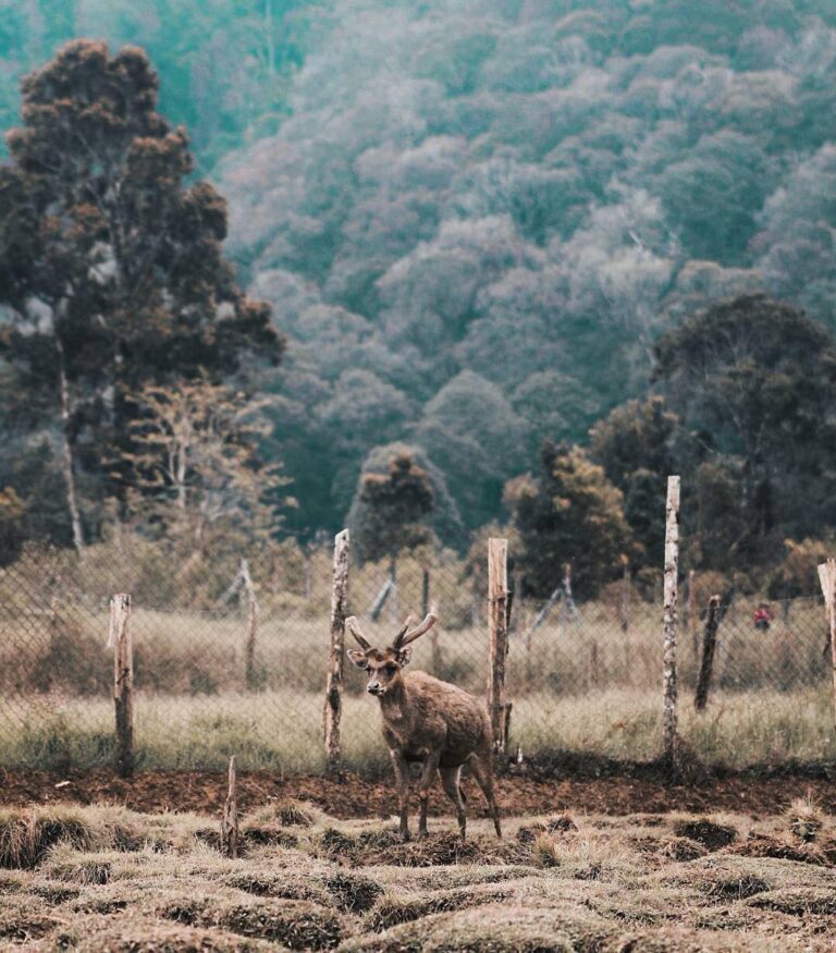 Going to Ranca Upas is a great idea to spend your weekend in nature. Captured by...