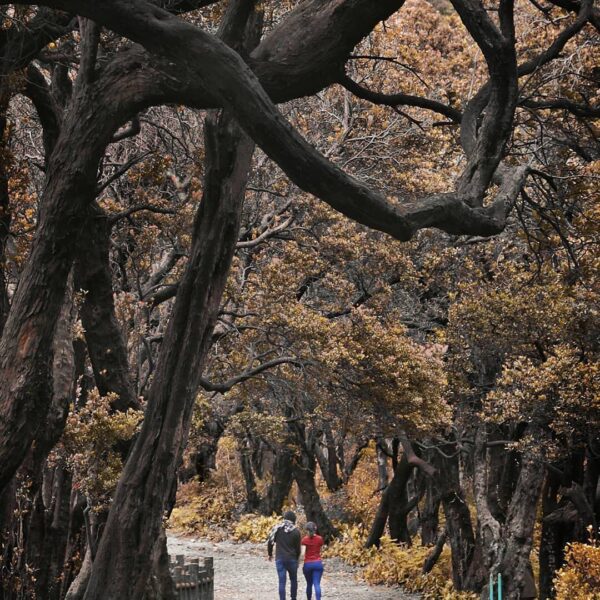 Healthy body leads to healthy mind. So, start your weekend morning with a small ...